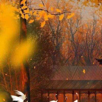 恋爱三国手游官方下载